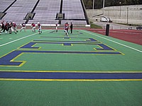 IMG_2771.jpg